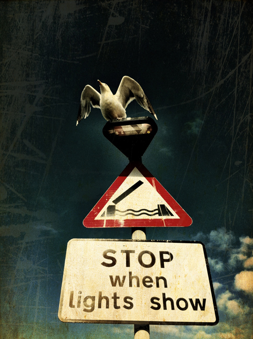 tutorial image